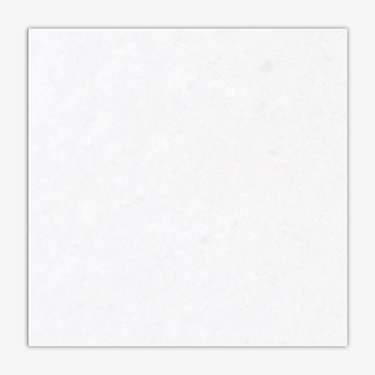 snow-white-honed-12x12-marble-tile-direct-stone-source