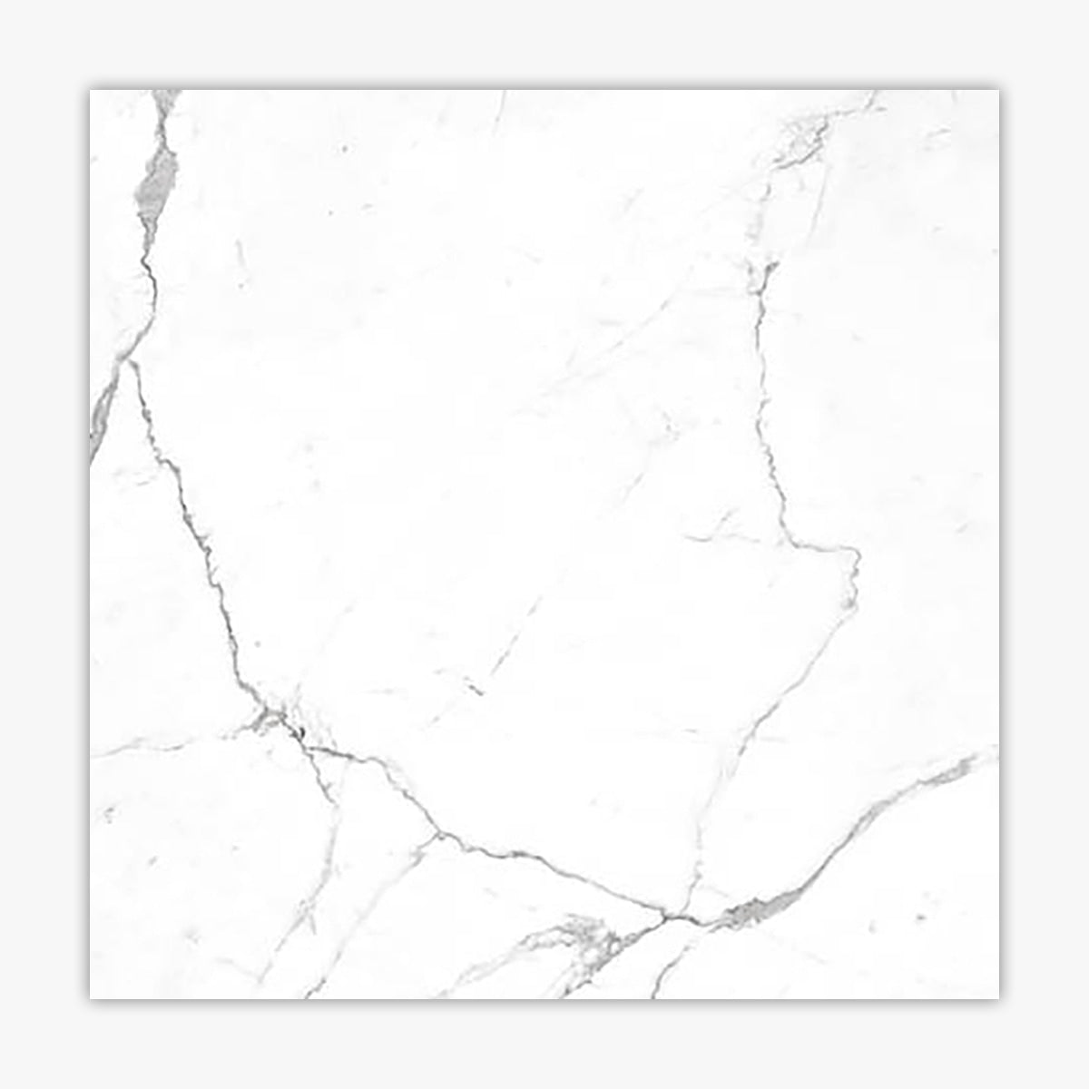 Calacatta Pearl R11 Matte 24x24 Porcelain Paver Direct Stone Source