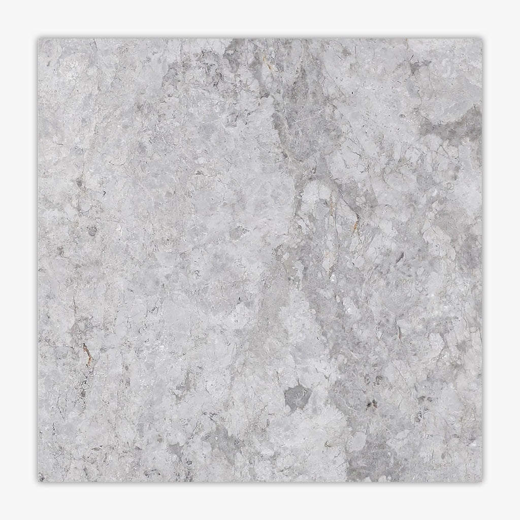 Tundra Gray Light Polished 12x12 Marble Tile