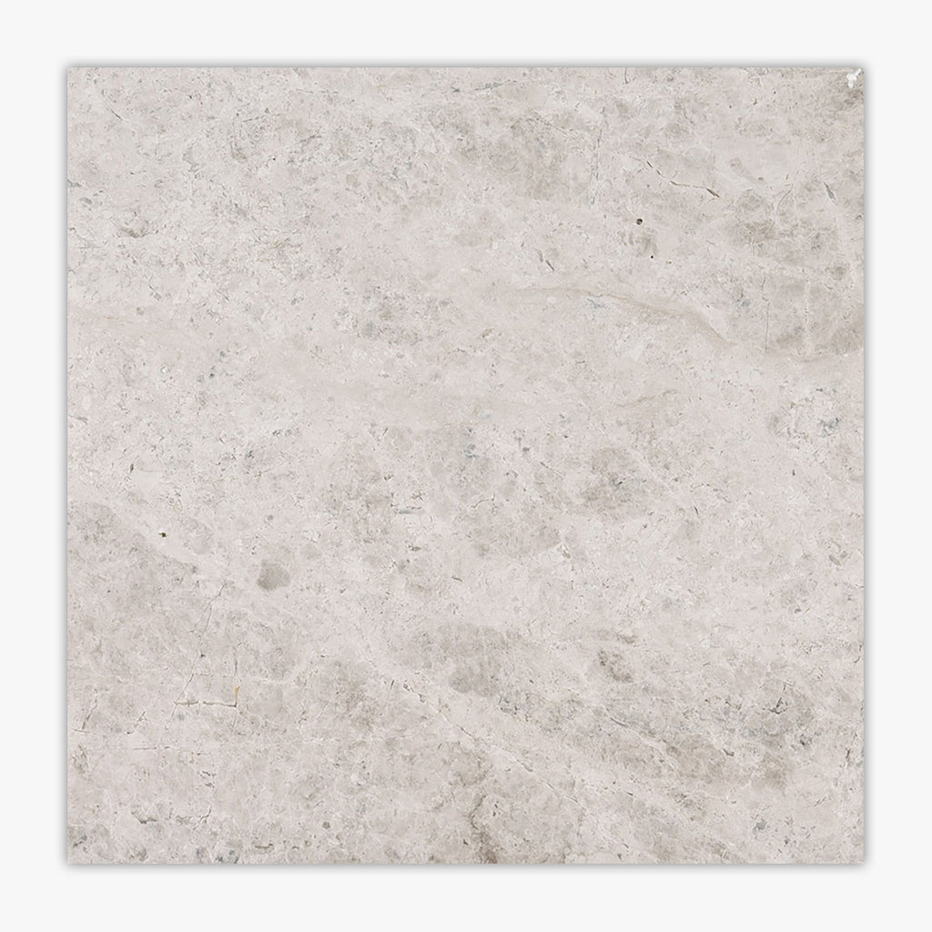 Tundra Gray Polished 18x18 Marble Tile