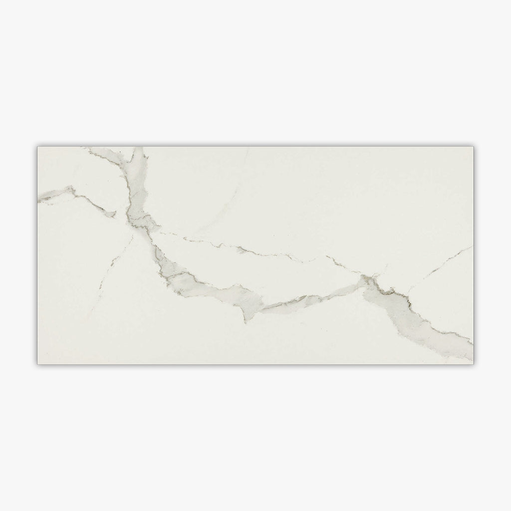 Eterno Albatro Matte 12x24 Porcelain Tile