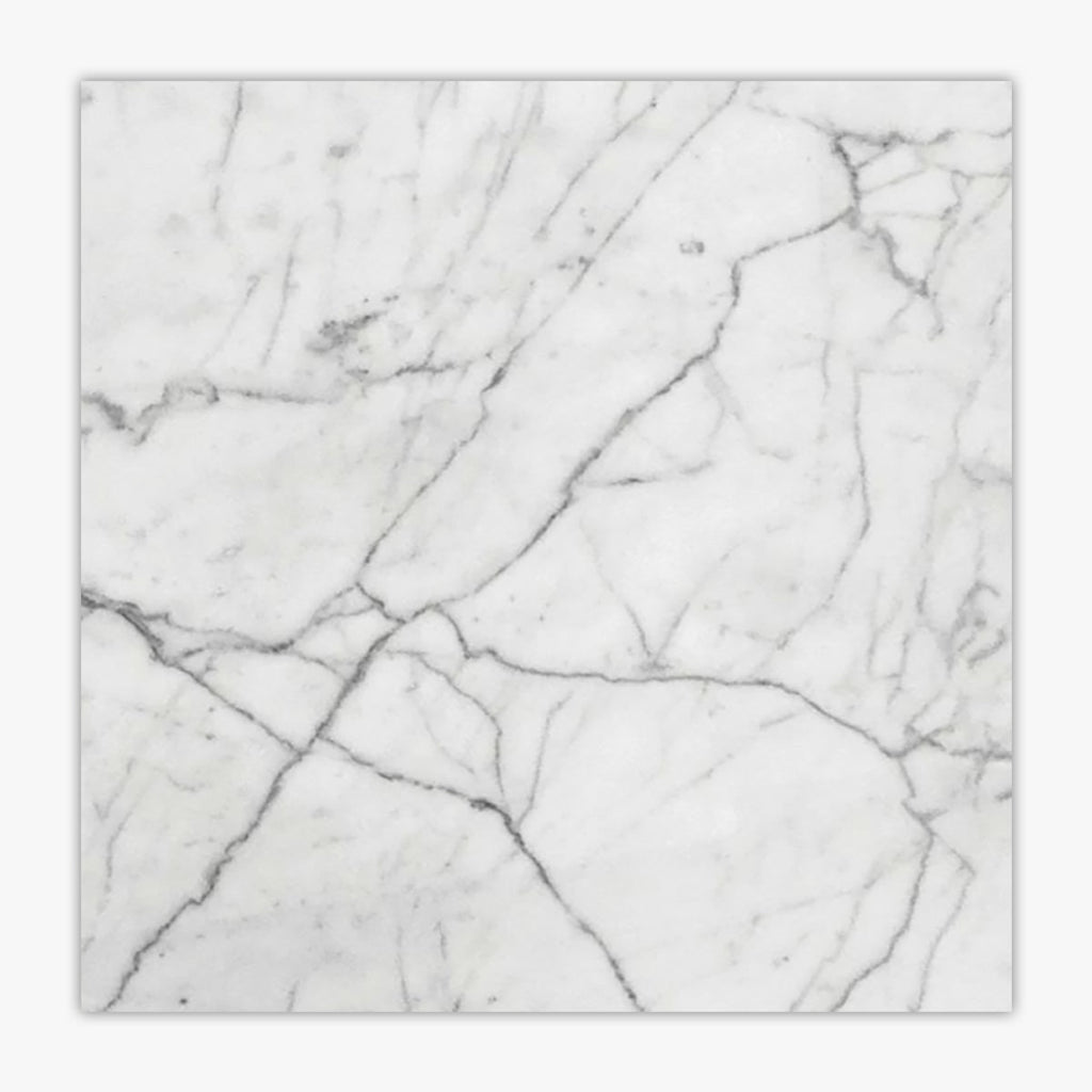 White Carrara Honed 24x24 Marble Tile